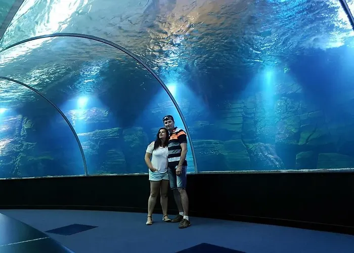 Le Petit * בולון-סור-מאר